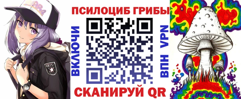 Псилоцибиновые грибы Psilocybine cubensis  цена   Курганинск 